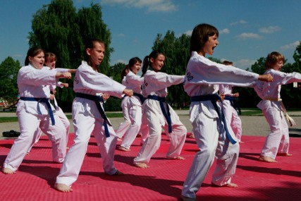 0293 Taekwondo Dubrava
