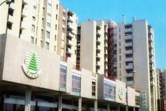 Avenija Dubrava - Šipad.jpg