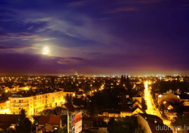 Dubrava u noći