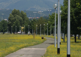 Gojka Šuška