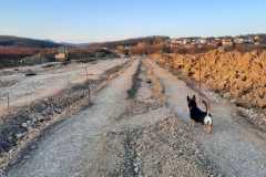 2026-03-08 at 17.28.48 (1).jpeg