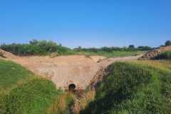 IMG-20250627-WA0003