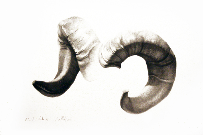 0329 duje medic spoznaja