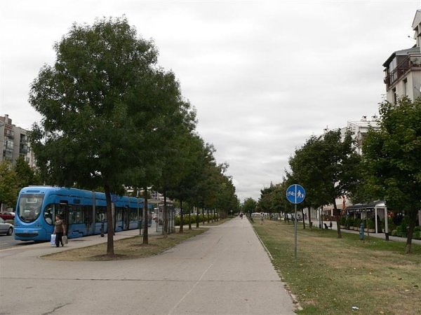 0372 poljanice dubec