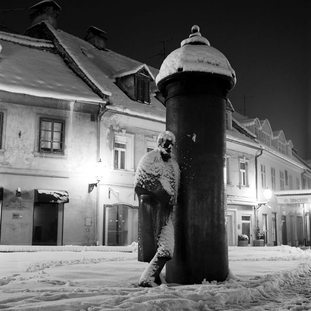 0019 damir matijevic